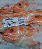 Kailis Bros Fish Market & Cafe