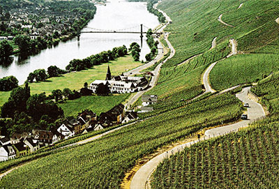 Mosel Valley where most German riesling is produced.