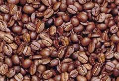 Suppliers of Freshly Roasted Coffee