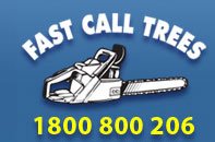 Tree Loppers, Stump Grinders, Tree Removals