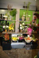 Fresh Flowers, Floral Arrangements