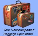 Unaccompanied Baggage, General Cargo, Special Cargo