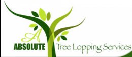 Tree Lopping, Tree Removal, Tree Pruning